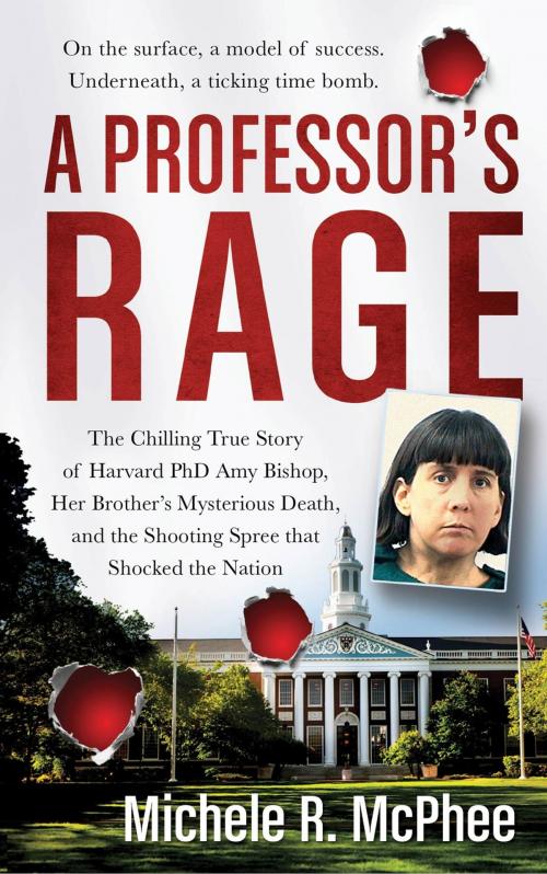 Cover of the book A Professor's Rage by Michele R. McPhee, St. Martin's Press