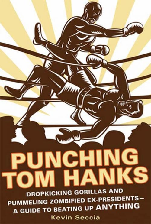 Cover of the book Punching Tom Hanks by Kevin Seccia, St. Martin's Press