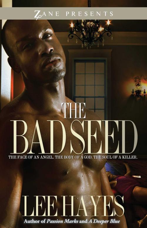 Cover of the book The Bad Seed by Lee Hayes, Strebor Books