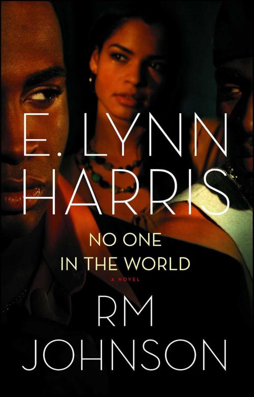 Cover of the book No One in the World by E. Lynn Harris, RM Johnson, Simon & Schuster