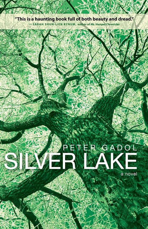 Cover of the book Silver Lake by Peter Gadol, Gallery Books