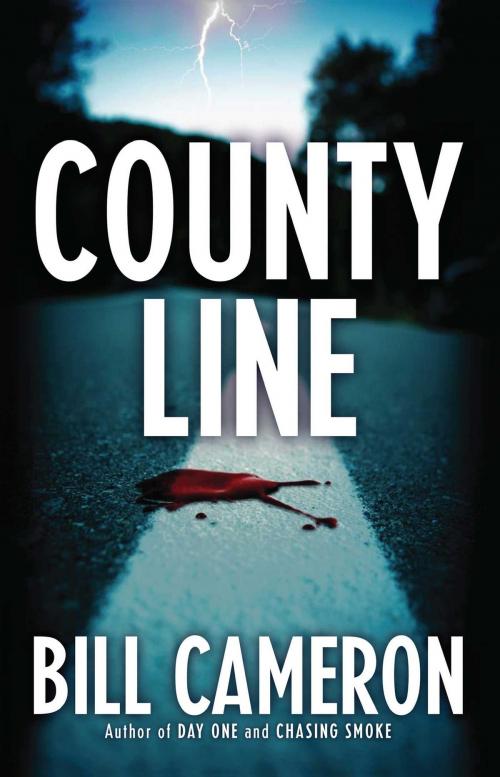 Cover of the book County Line by Bill Cameron, Gallery Books