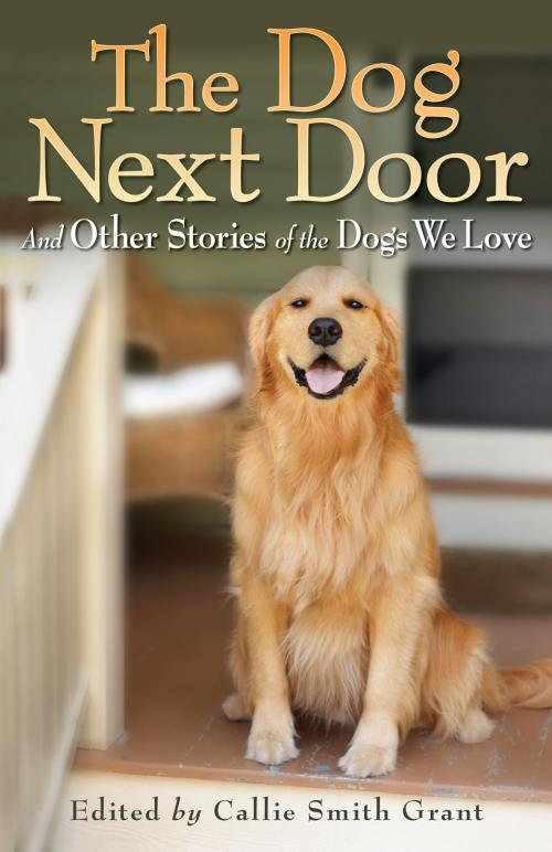 Cover of the book Dog Next Door, The by , Baker Publishing Group