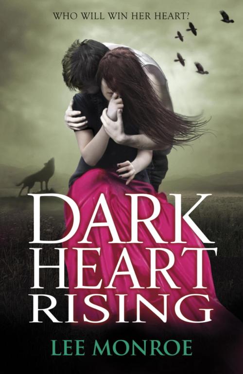 Cover of the book Dark Heart Rising by Lee Monroe, Hachette Children's