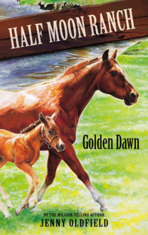 Cover of the book Golden Dawn by Jenny Oldfield, Hachette Children's