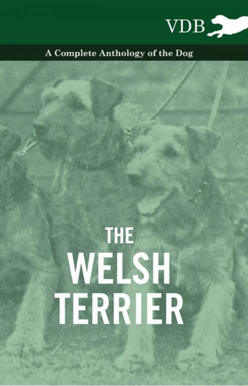 Cover of the book The Welsh Terrier - A Complete Anthology of the Dog by Various, Read Books Ltd.