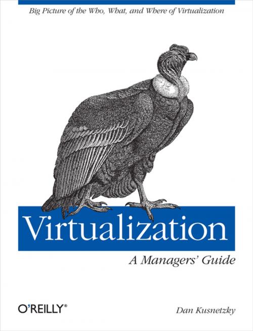 Cover of the book Virtualization: A Manager's Guide by Dan Kusnetzky, O'Reilly Media