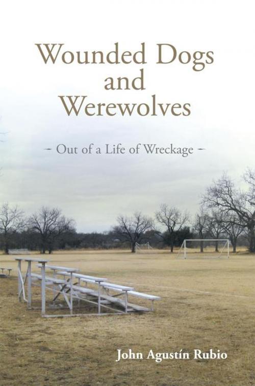 Cover of the book Wounded Dogs and Werewolves by John Agustin Rubio, WestBow Press