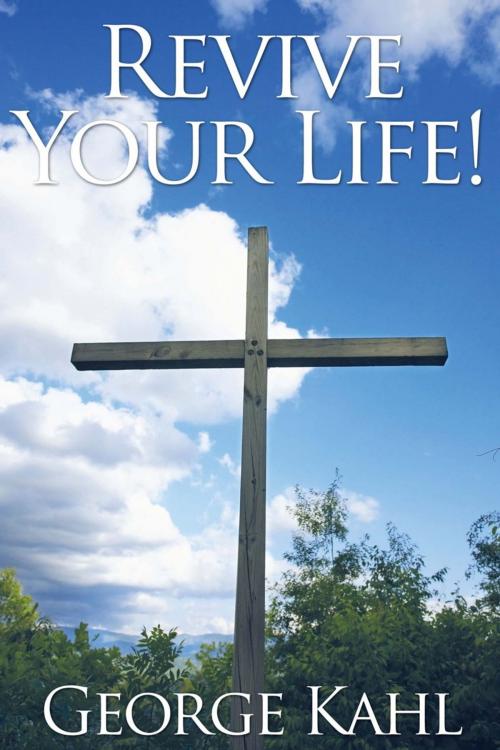 Cover of the book Revive Your Life! by George Kahl, WestBow Press
