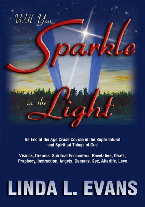 Cover of the book Will You Sparkle in the Light by Linda L. Evans, WestBow Press