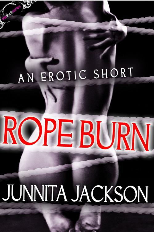 Cover of the book Rope Burn by Junnita Jackson, Junnita Jackson