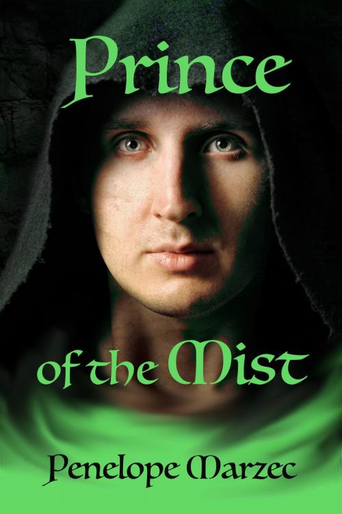 Cover of the book Prince of the Mist by Penelope Marzec, Penelope Marzec