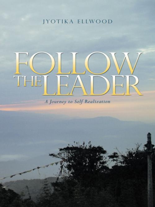 Cover of the book Follow the Leader by Jyotika Ellwood, Balboa Press AU
