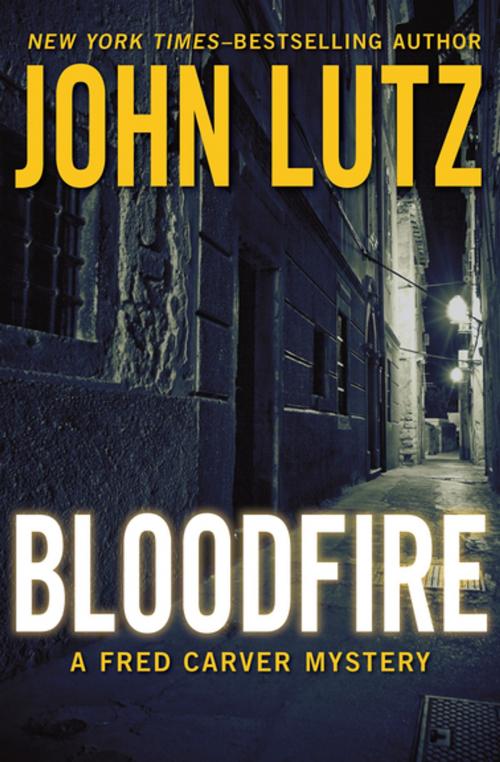 Cover of the book Bloodfire by John Lutz, Open Road Media
