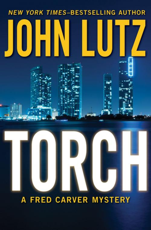 Cover of the book Torch by John Lutz, Open Road Media