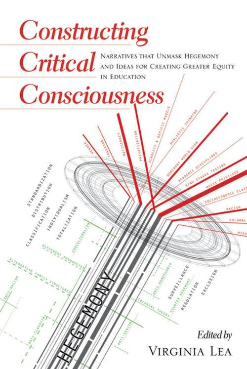Cover of the book Constructing Critical Consciousness by , Peter Lang