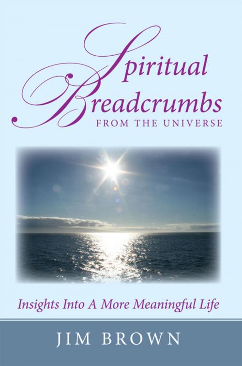 Cover of the book Spiritual Breadcrumbs from the Universe by Jim Brown, AuthorHouse