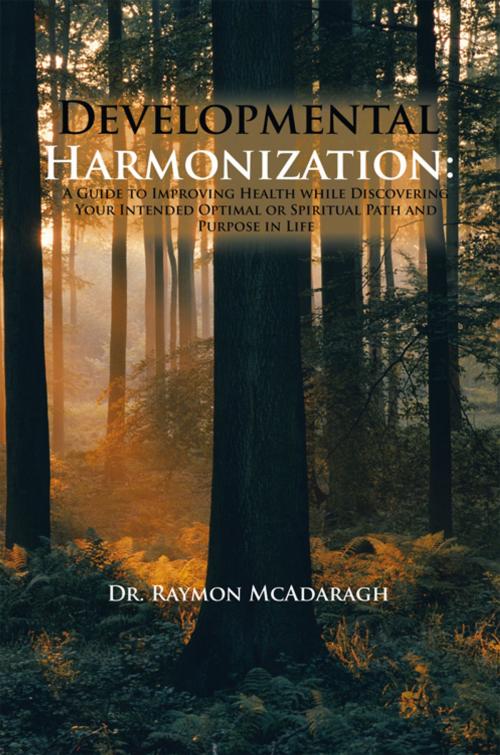 Cover of the book Developmental Harmonization: by Dr. Raymon McAdaragh, AuthorHouse