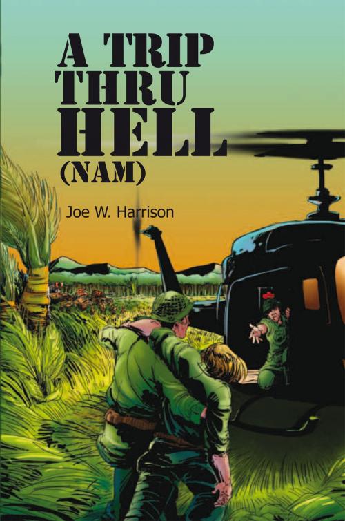 Cover of the book A Trip Thru Hell (Nam) by Joe W. Harrison, Xlibris US