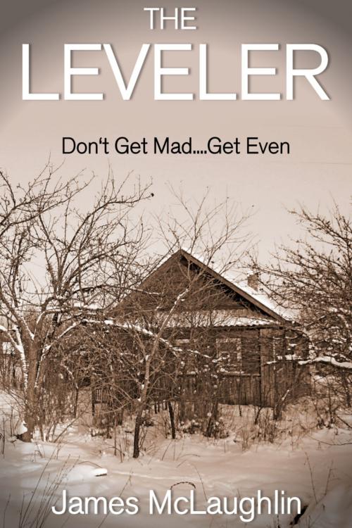 Cover of the book The Leveler by James McLaughlin, James McLaughlin