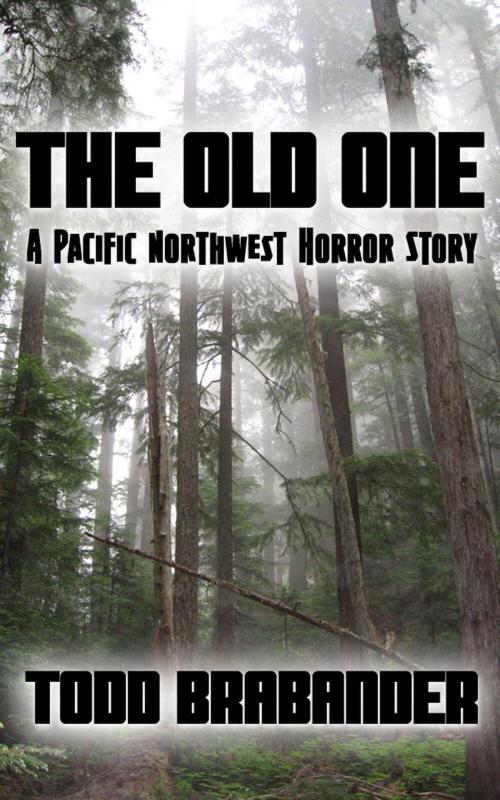 Cover of the book The Old One by Todd Brabander, Todd Brabander