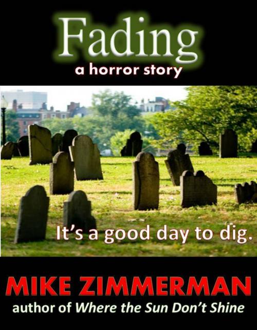 Cover of the book Fading by Mike Zimmerman, Mike Zimmerman