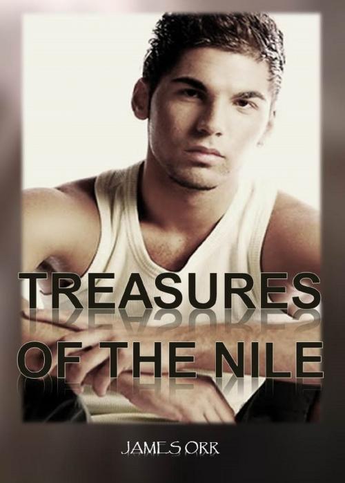 Cover of the book Treasures of the Nile by James Orr, James Orr