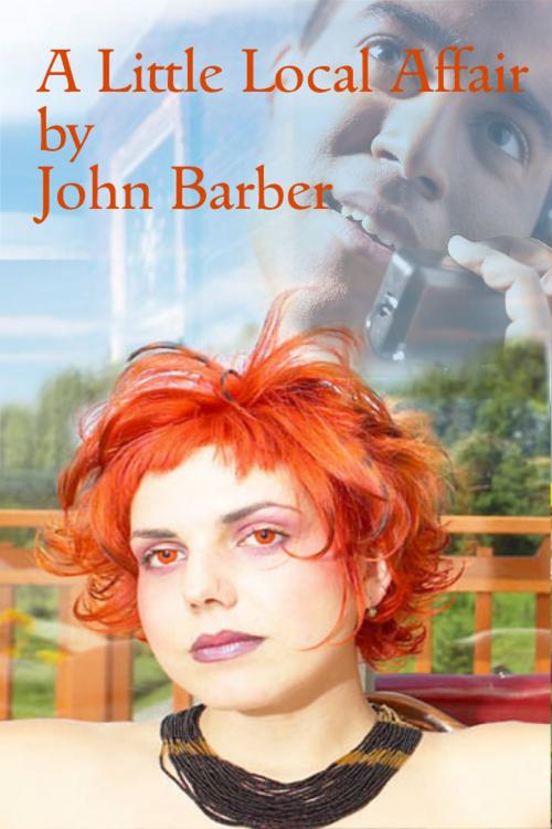 Cover of the book A Little Local Affair by John Barber, John Barber