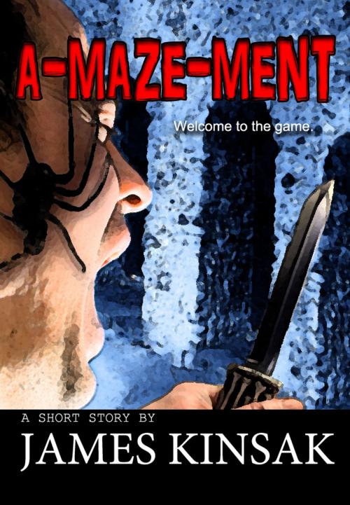 Cover of the book A-Maze-Ment by James Kinsak, Fiero Publishing