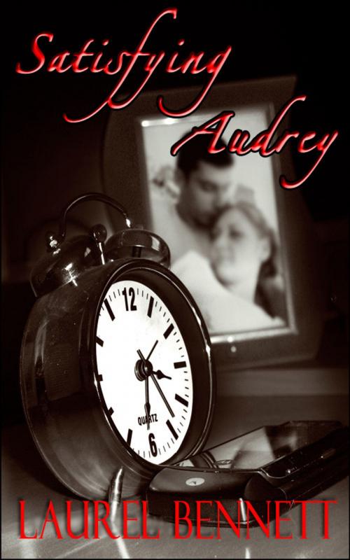 Cover of the book Satisfying Audrey by Laurel Bennett, Laurel Bennett