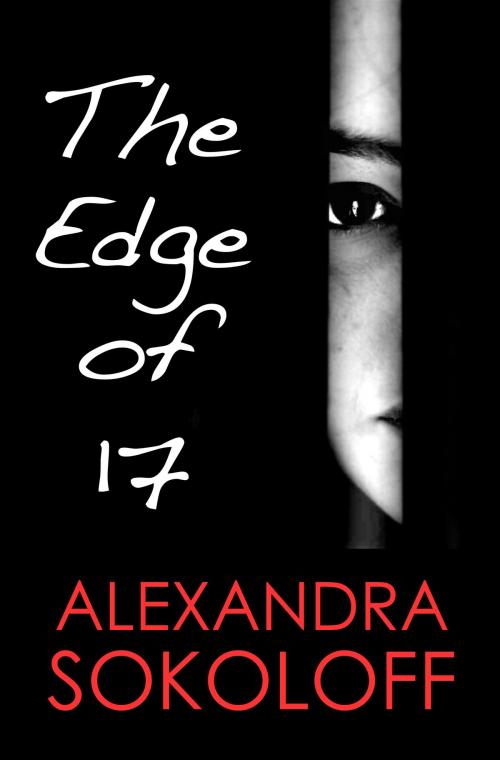 Cover of the book The Edge of Seventeen by Alexandra Sokoloff, Alexandra Sokoloff