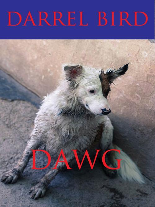 Cover of the book Dawg! by Darrel Bird, Darrel Bird