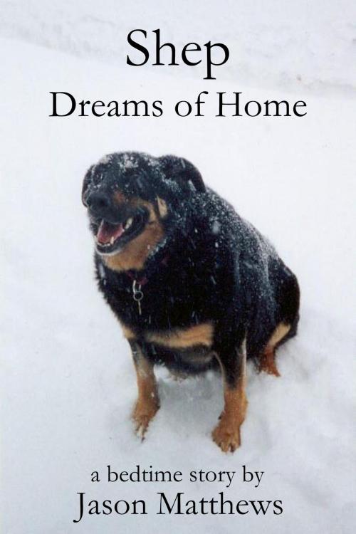 Cover of the book Shep Dreams of Home by Jason Matthews, Jason Matthews