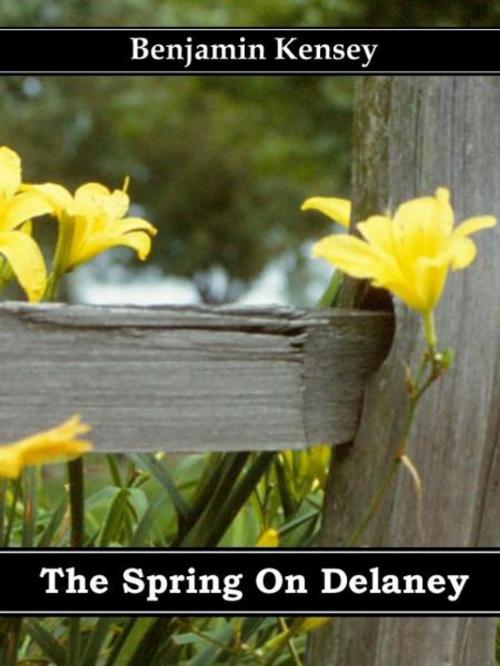 Cover of the book The Spring On Delaney by Benjamin Kensey, Benjamin Kensey