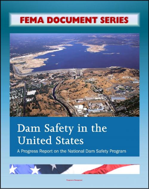 Cover of the book FEMA Document Series: Dam Safety in the United States - A Progress Report on the National Dam Safety Program - FEMA P–759 by Progressive Management, Progressive Management
