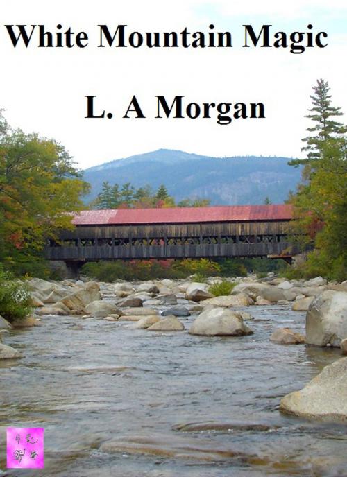 Cover of the book White Mountain Magic by L A Morgan, L A Morgan