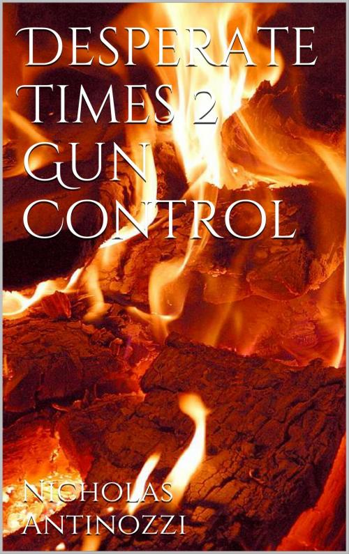 Cover of the book Desperate Times 2 by Nicholas Antinozzi, Nicholas Antinozzi