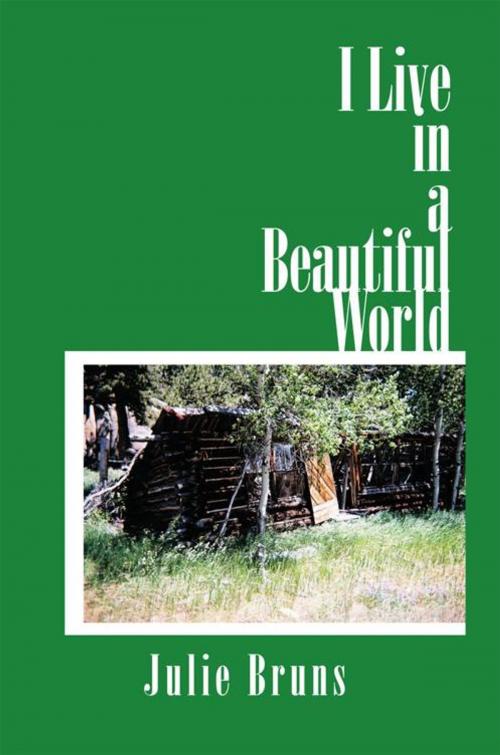 Cover of the book I Live in a Beautiful World by Julie Bruns, iUniverse