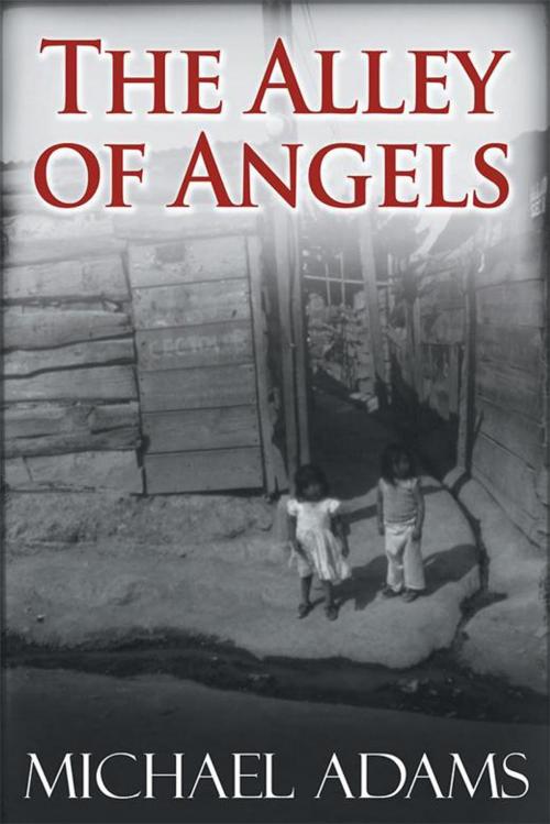 Cover of the book The Alley of Angels by Michael Adams, Xlibris US