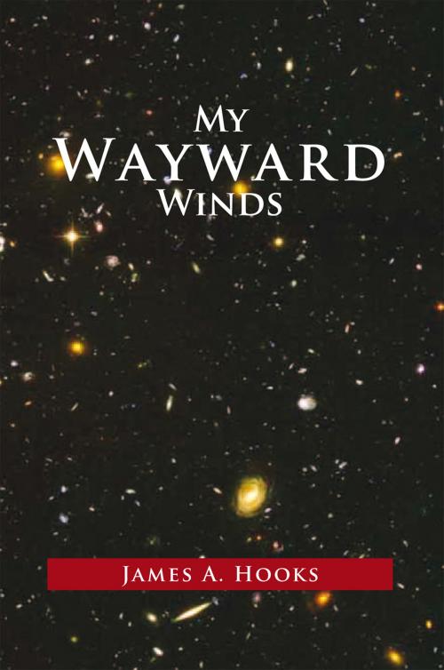 Cover of the book My Wayward Winds by James A. Hooks, Xlibris US