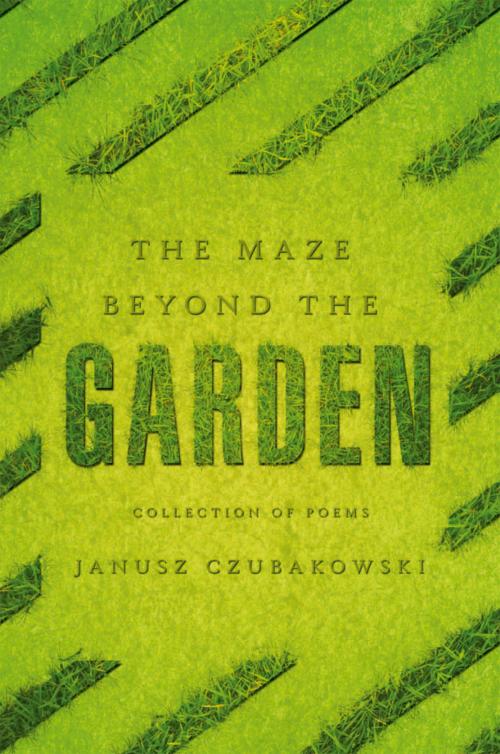 Cover of the book The Maze Beyond the Garden by Janusz Czubakowski, Xlibris US