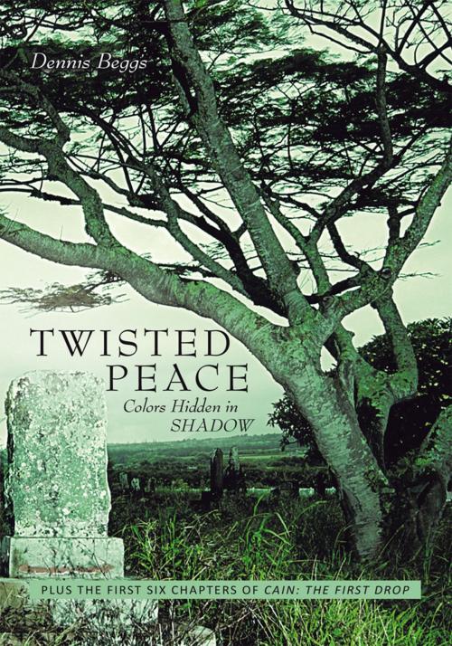 Cover of the book Twisted Peace Colors Hidden in Shadow by Dennis Beggs, AuthorHouse