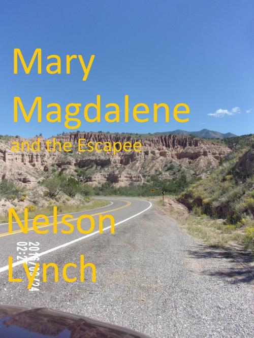 Cover of the book Mary Magdalene and the Escapee by Nelson Lynch, Nelson Lynch