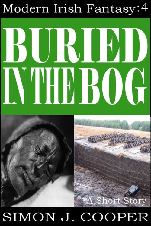 Cover of the book Buried in the Bog by Simon J. Cooper, Holbrook Publishing