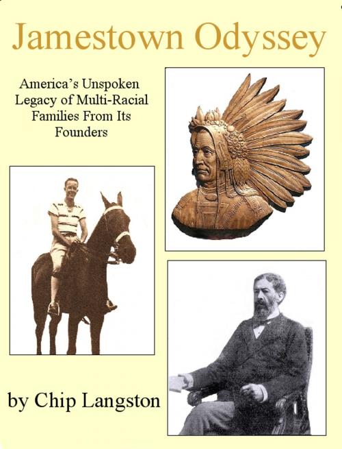 Cover of the book Jamestown Odyssey: America's Unspoken Legacy of Multi-Racial Families From Its Founders by Chip Langston, Chip Langston