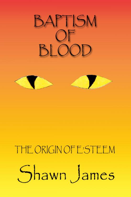 Cover of the book Baptism of Blood by Shawn James, Shawn James