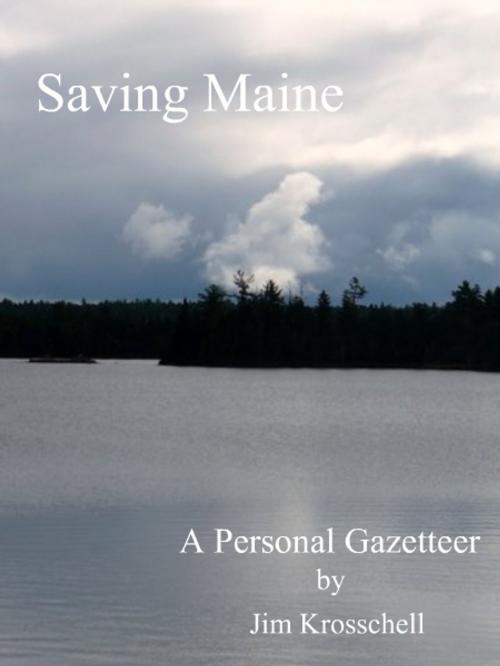 Cover of the book Saving Maine: A Personal Gazetteer by Jim Krosschell, Jim Krosschell
