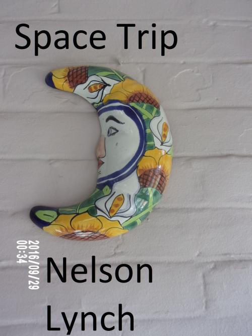 Cover of the book Space Trip by Nelson Lynch, Nelson Lynch