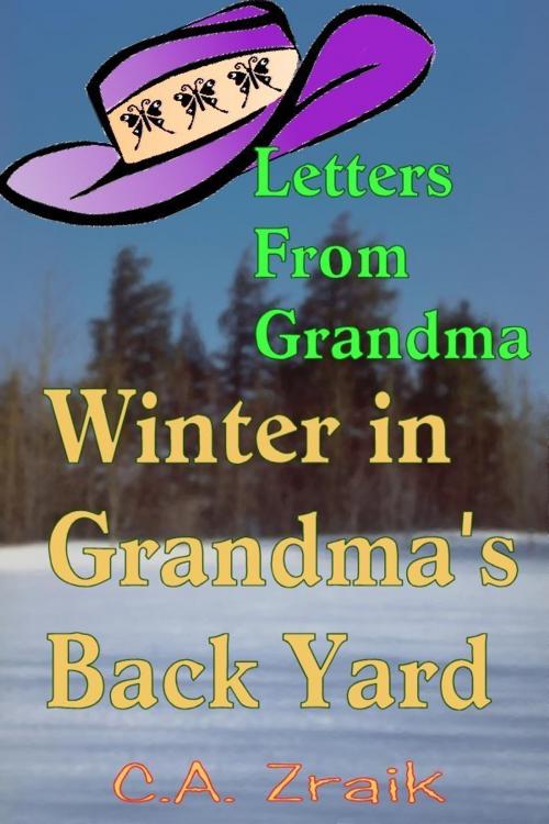 Cover of the book Winter In Grandma's Back Yard by C. A. Zraik, C. A. Zraik