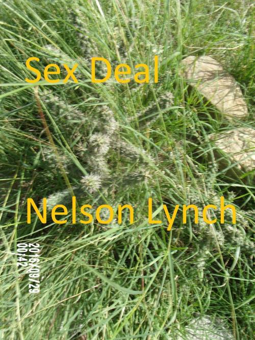 Cover of the book Sex Deal by Nelson Lynch, Nelson Lynch